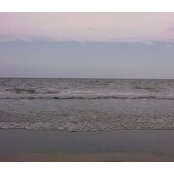 Sandy Chapin's photo