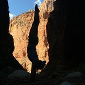 Casey Singer's photo
