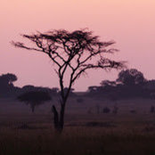 Lisa Buck's photo
