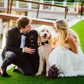 Haley Tyler's photo