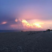Haley Carney's photo