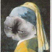 Foto von Bilge Okutman