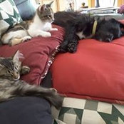 Foto di Trudi Plummer