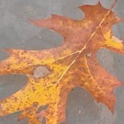 Jane Spiderbay's photo