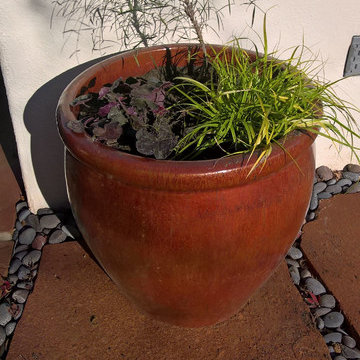 Mediterranean Courtyard- Lawn Removal Project