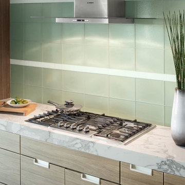 Contemporary Bosch Kitchen