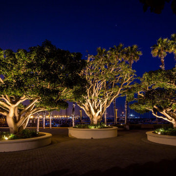 Cabrillo Marina