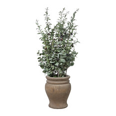 50 Most Popular Artificial Olive Trees For 2021 Houzz