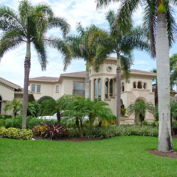 Home Window Tinting