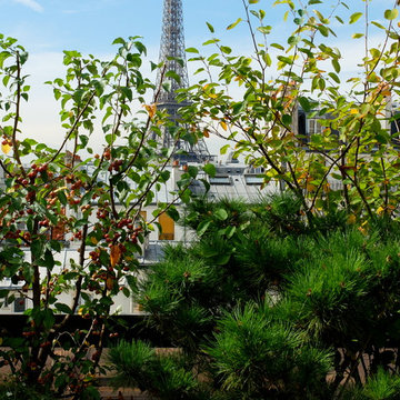 Aménagement paysager d'une terrasse à Paris...