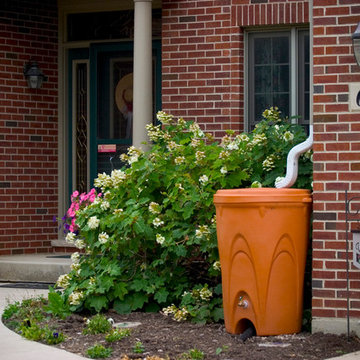 Rainwater Harvesting