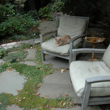 Kathy's Mill Valley Retreat.
