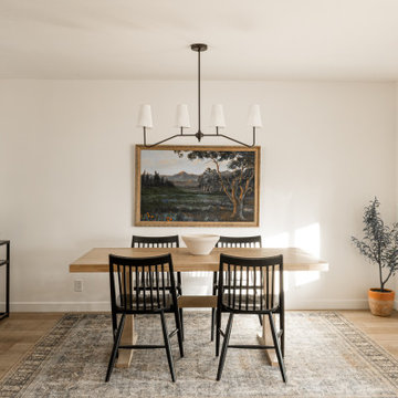 Eucalyptus Reno