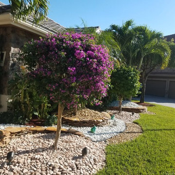 Individual Plant Photos # 1:Customer Aid (Not complete- hundreds will be here)
