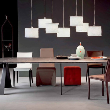 Contemporary Dining Room