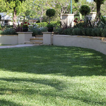 Frederica's backyard