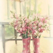 Kay Breenさんの写真