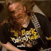 Helen Brohan's photo
