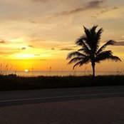Lucia Brown's photo