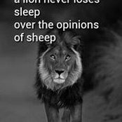 Luanne Bogdan's photo