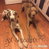 Amanda Oldfather Johnston's photo