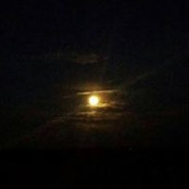 Caitlin Cochran's photo
