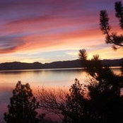 Susan Ives Mitchener's photo