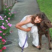 Julie Ingber's photo