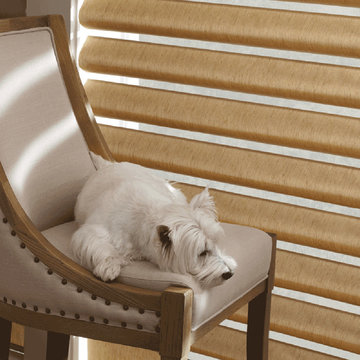 Pet-Safe Solutions