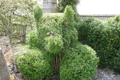 Boxwood Topiaries