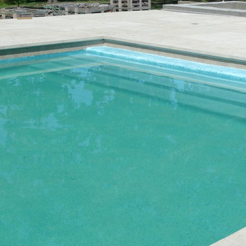 Long Grove, IL Swimming Pool Renovation