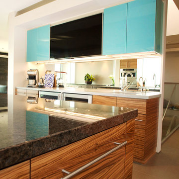 Contemporary Zebrawood & Glass Kitchen