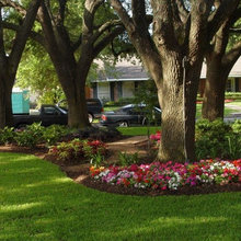 Front trees