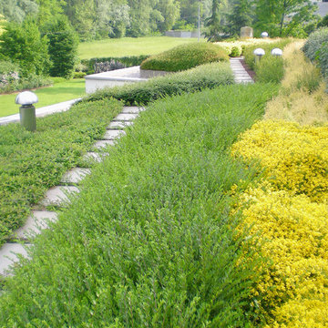 Il Tetto Giardino (Copertura verde)