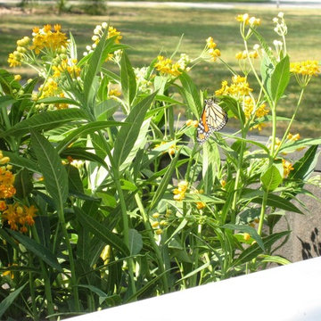 Habitat Restoration Miami-Certified Wildlife Habitat