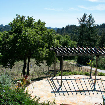 Vineyard Estate
