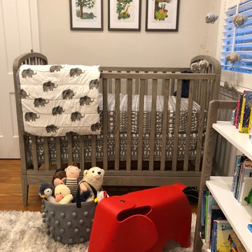 Whimsical Boy's Nursery in Arlington, VA