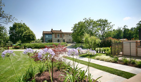 5 Problemi in Giardino che un Designer del Verde Può Risolvere