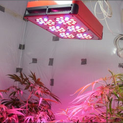 LED Aquarium Light - Products