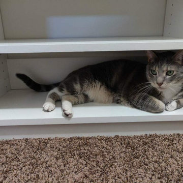 Walk-in Closet
