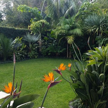 Balinese And Subtropical Gardens