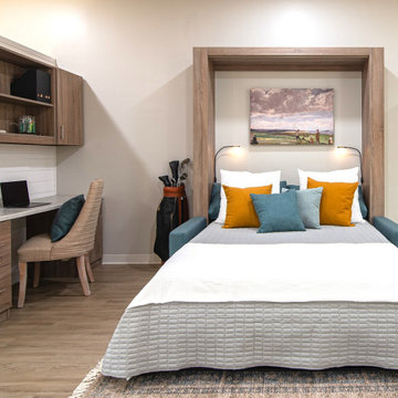 SOFA AND MURPHY BED