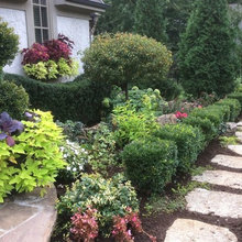 Front yard