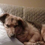 Bernie Baroody's photo