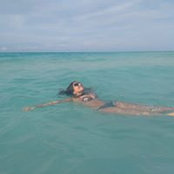 Foto von Virginia Dip