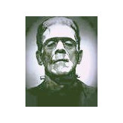 Bernard Stein's photo