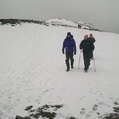 Mark Gillies's photo