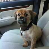 Sondra Gay's photo