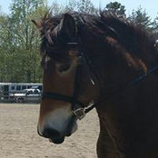 Kellie Himburg's photo