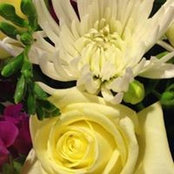 Sharon Banal's photo